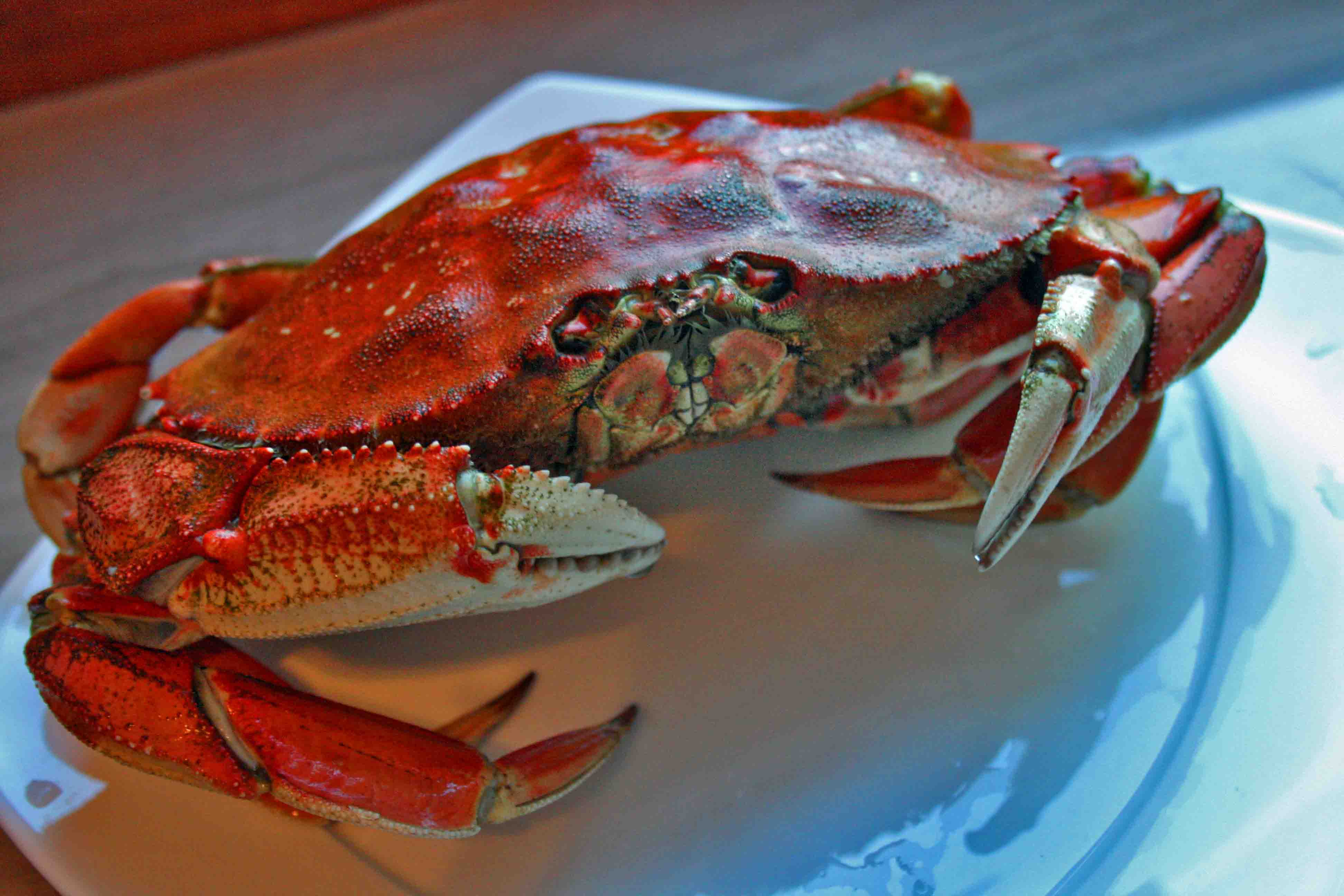 Alaskan Crab – Looks better than it tasted | Lemniscates are Forever